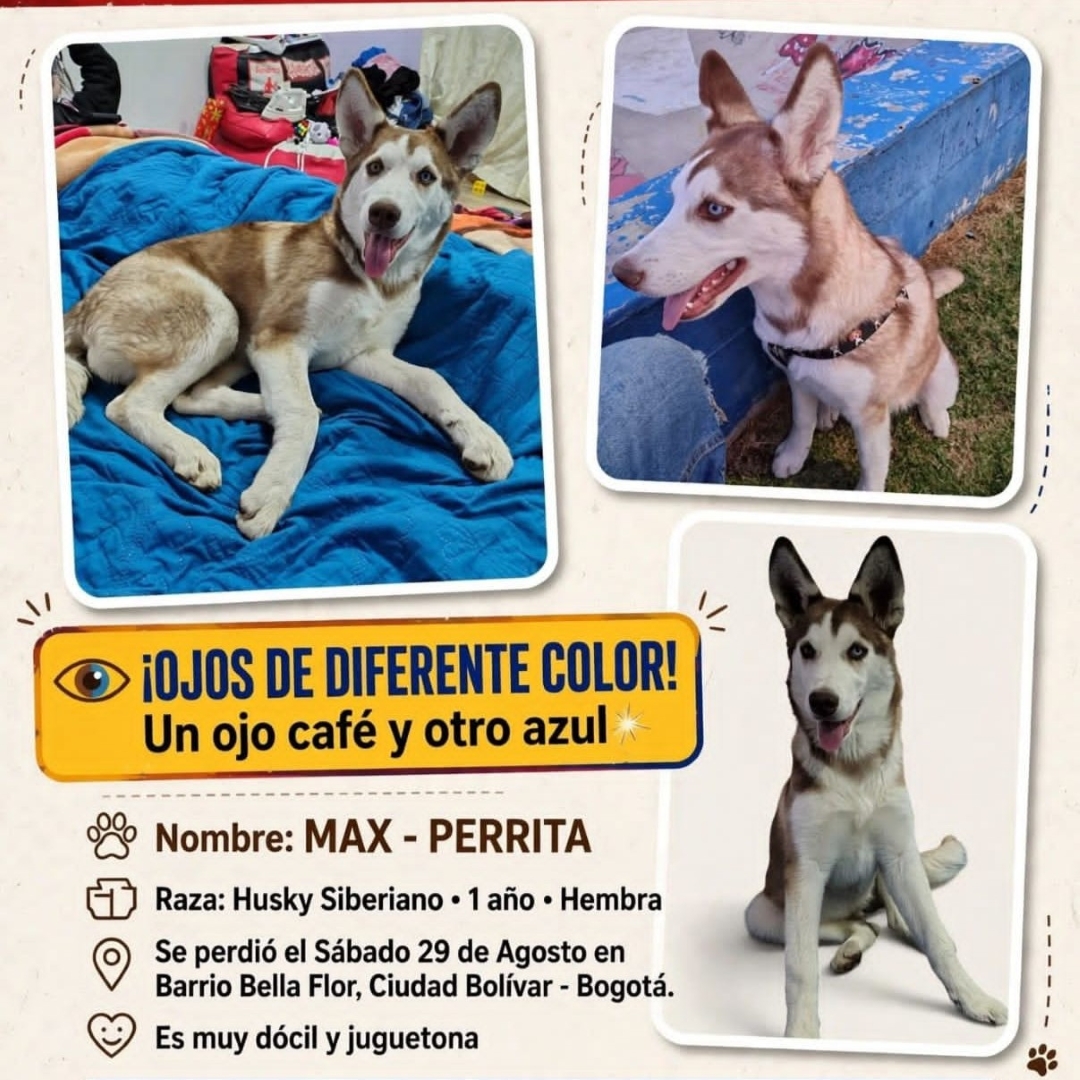Perro Max