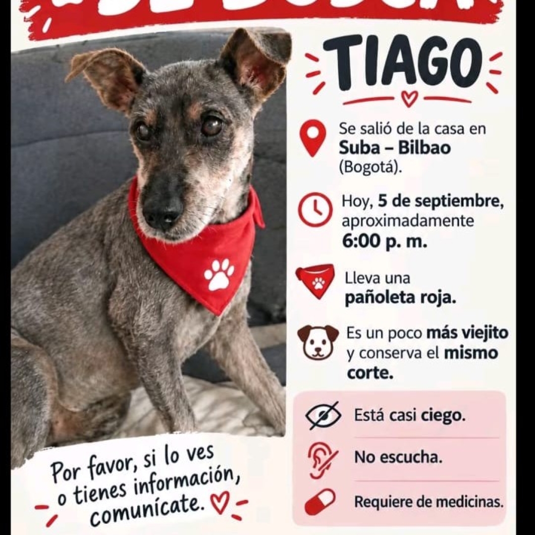 Perro Tiago