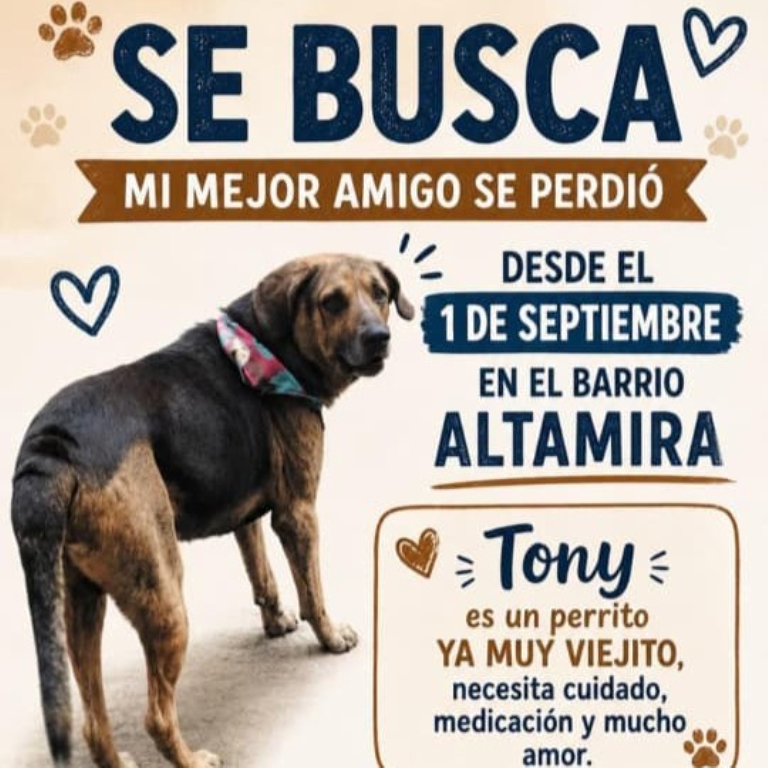 Perro Tony