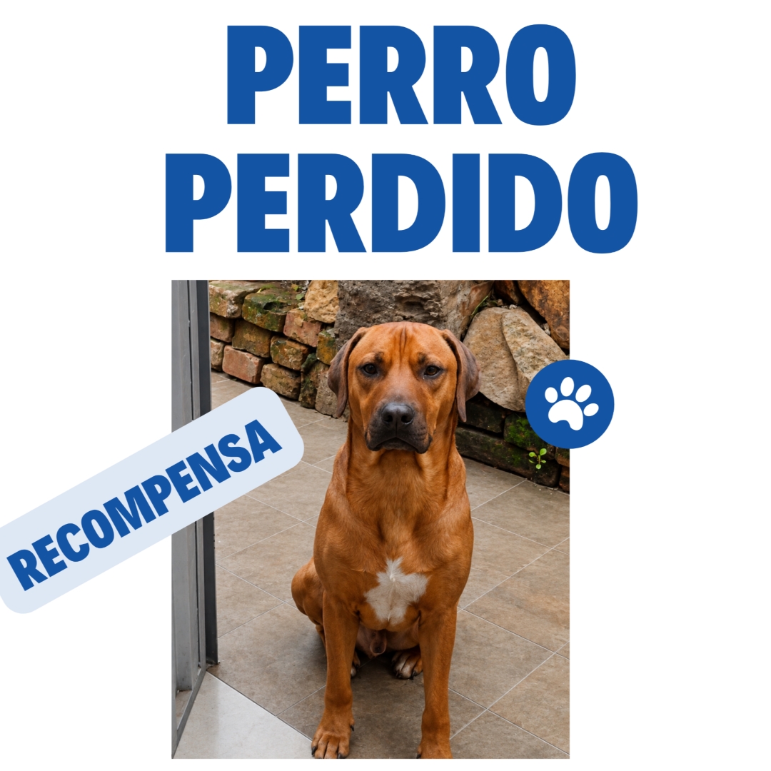 Perro Tatan
