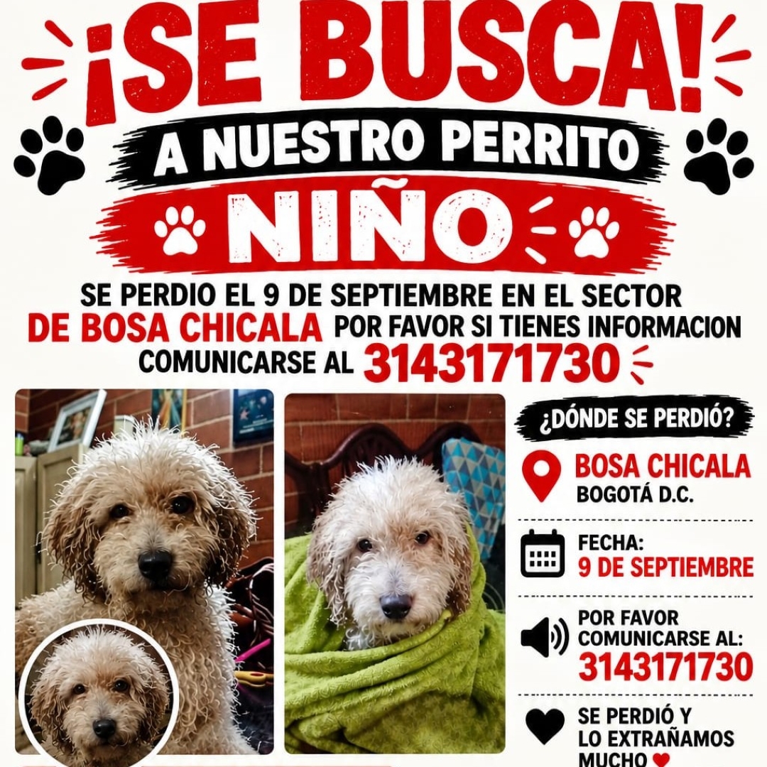 Perro Niño