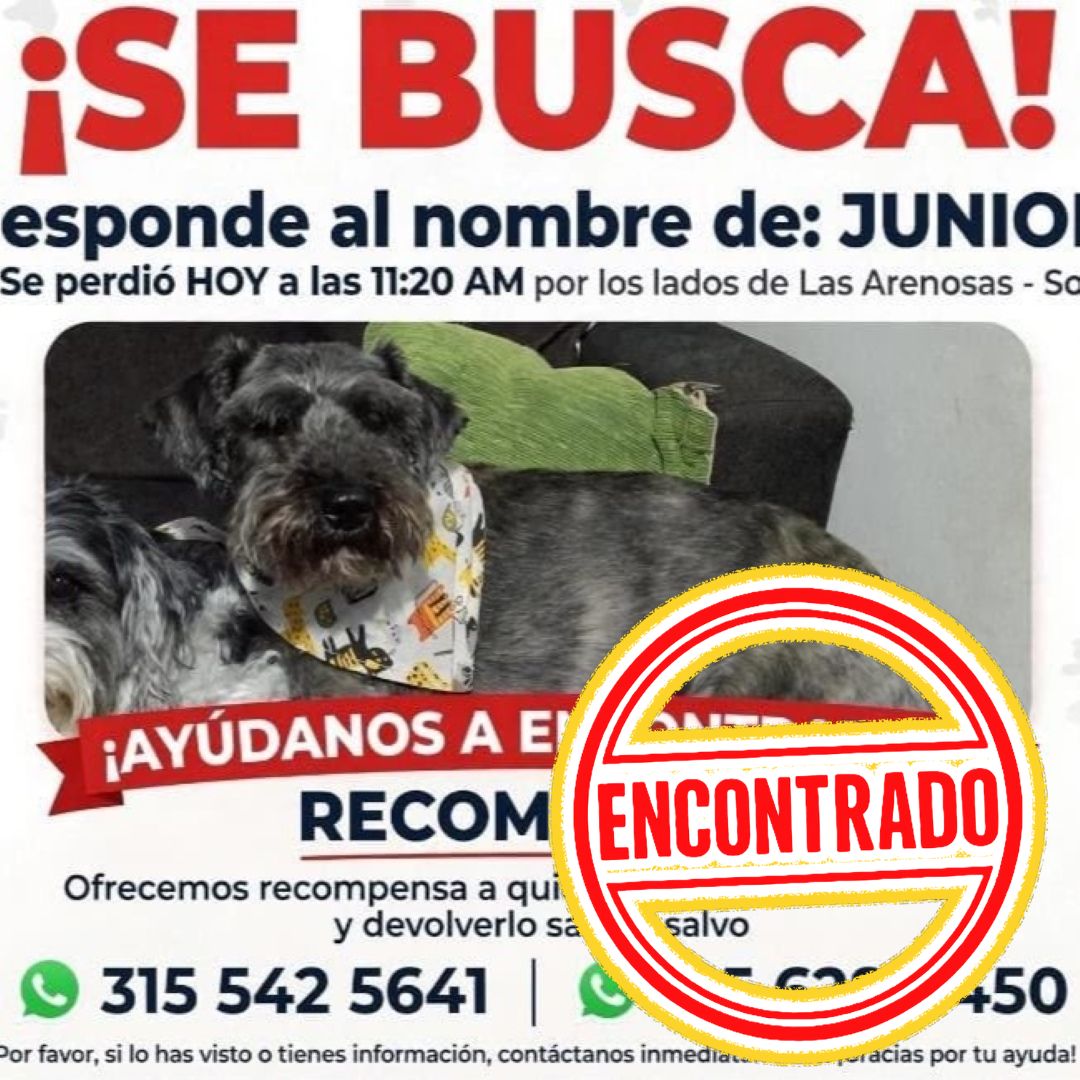Perro Junior ENC