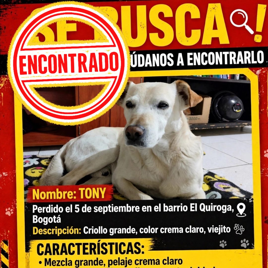 Perro Tony