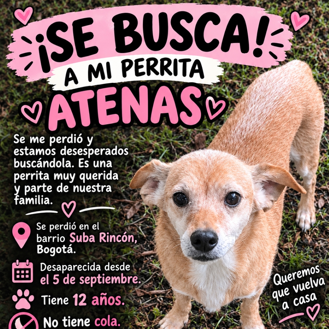 Perro Atenas