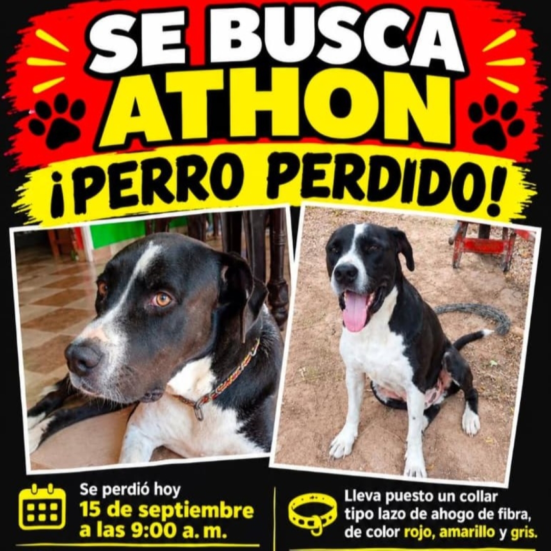 Athon