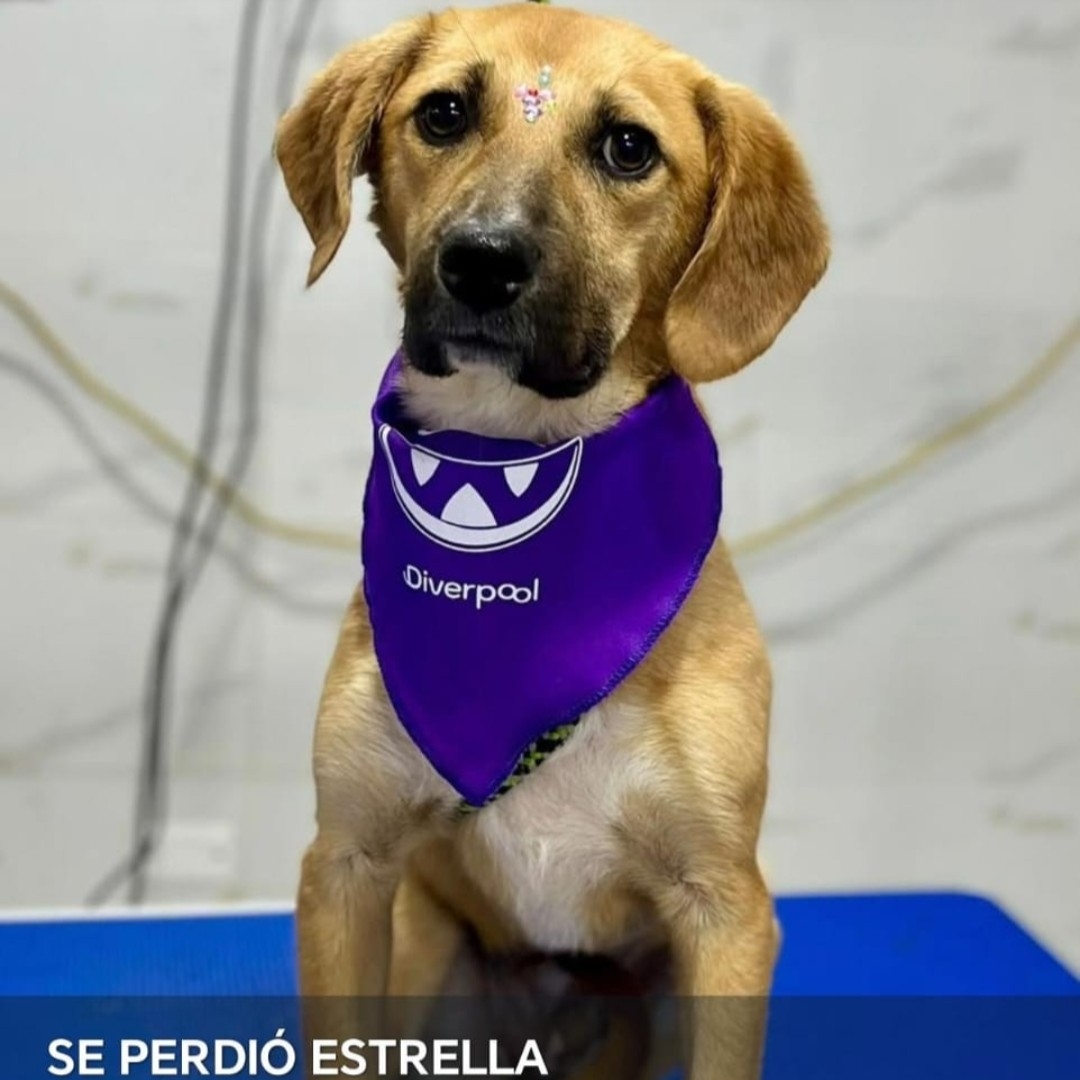 Estrella