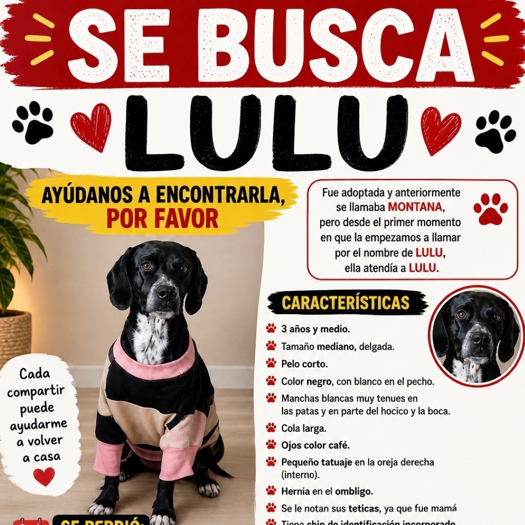 Lulu